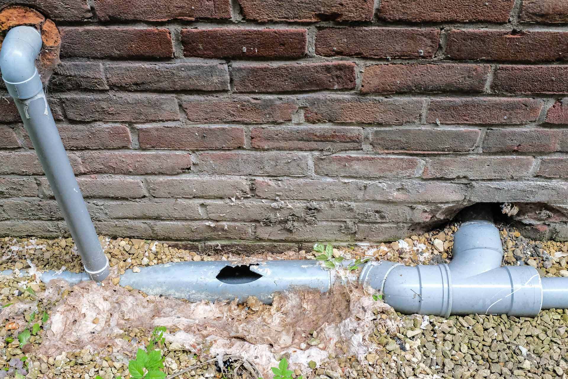 External Areas